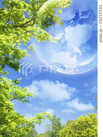 青空と樹木 28255501
