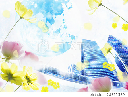 高層ビルと花 高層ビルと花 28255529