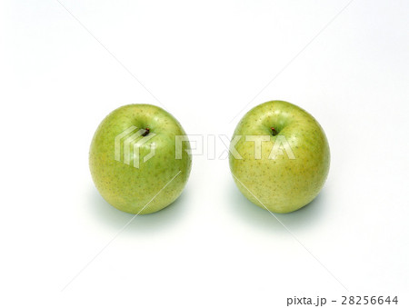 リンゴ 28256644