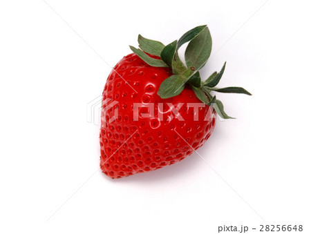 イチゴ 28256648