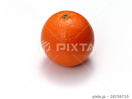 オレンジ 28256710