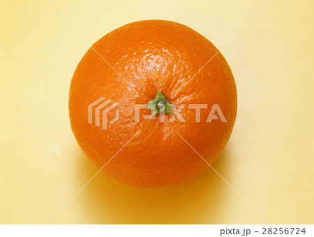 オレンジ 28256724