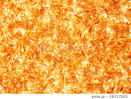 マリーゴールド 28257003