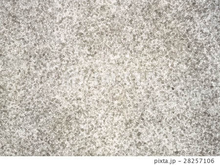 白ザラ糖 白ザラ糖 28257106