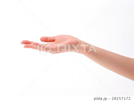 手 手 28257172
