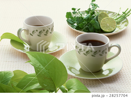 コーヒー 28257704