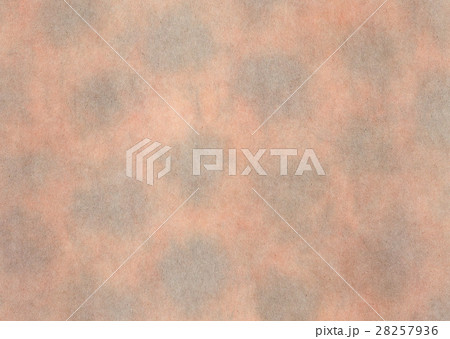 典具帖紙 28257936