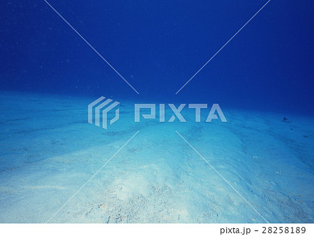 海底 28258189