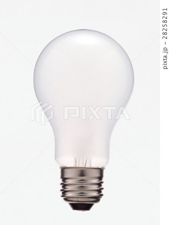 電球 28258291