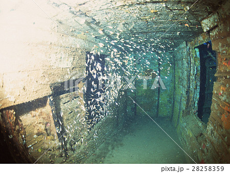 海底の船 28258359