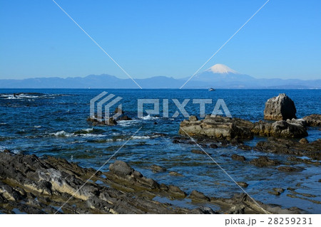 葉山海岸より望む富士山 葉山海岸より望む富士山 28259231