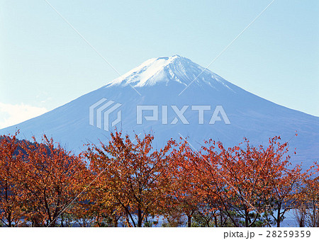 紅葉と富士山 28259359