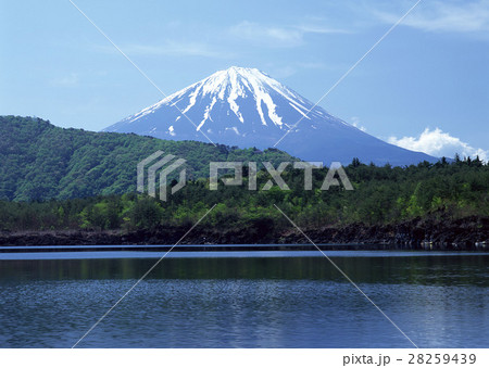 富士山 富士山 28259439