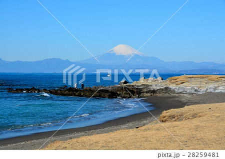 葉山海岸より望む富士山 28259481