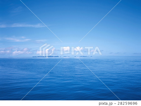 海 海 28259696