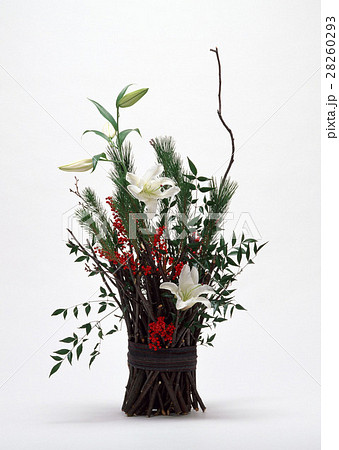 生け花 28260293