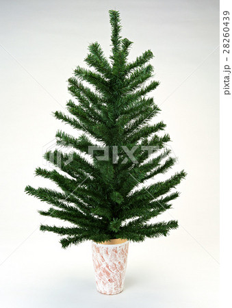 クリスマスツリー 28260439