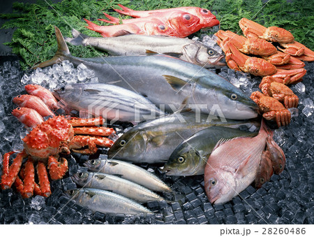 魚介いろいろ 28260486
