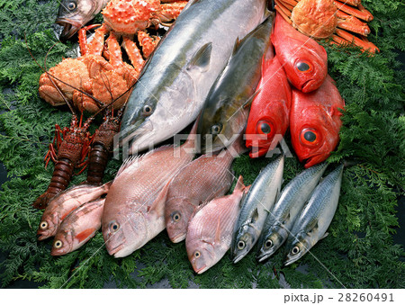魚介いろいろ 28260491