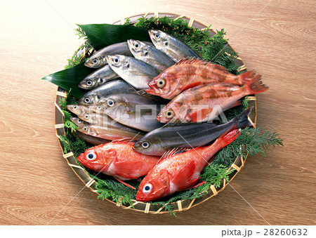 魚介いろいろ 魚介いろいろ 28260632