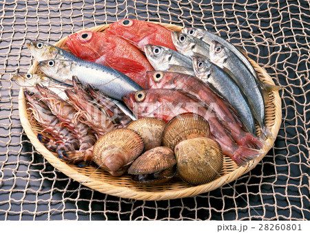 魚介いろいろ 28260801