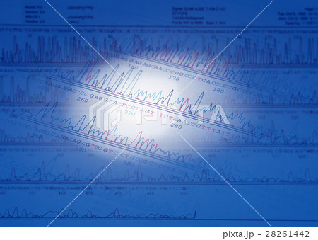 チャート チャート 28261442