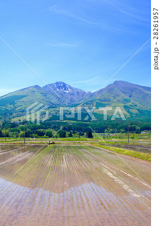 水田と磐梯山（猪苗代町） 28261957