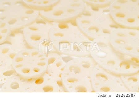 カットレンコン カットレンコン 28262587