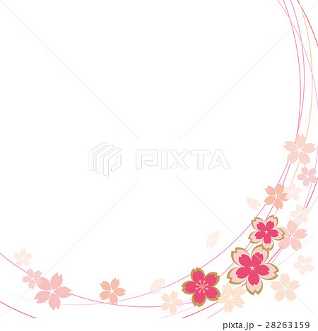 桜 ライン 白のイラスト素材