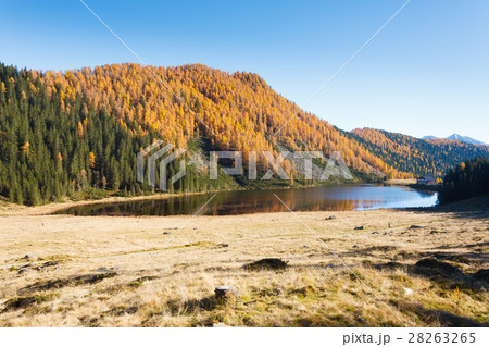 Autumn panorama from Italian Alps 28263265