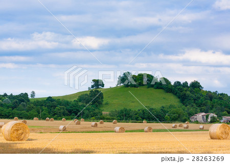 Italian countryside panorama. wheat round bales 28263269