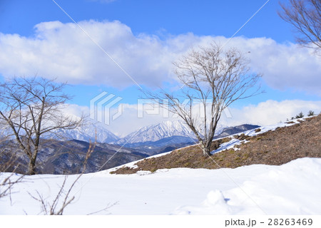 アルプス展望公園 28263469