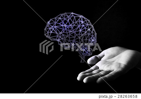 human brain human brain 28263658