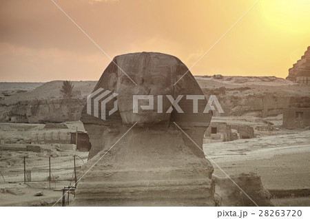The Great Sphinx of Giza on a sunset background The Great Sphinx of Giza on a sunset background 28263720