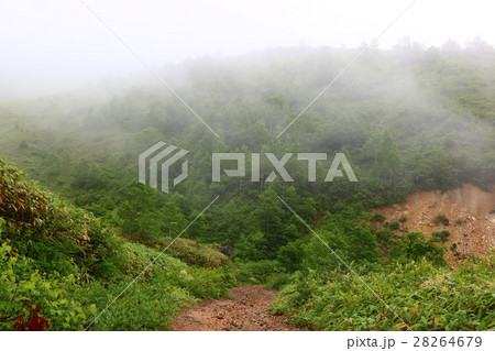 【群馬県】小串廃鉱山へ続く廃道 28264679