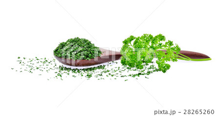 Parsley isolated on white background 28265260