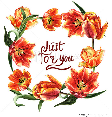Wildflower tulip flower wreath in a watercolor Wildflower tulip flower wreath in a watercolor 28265870