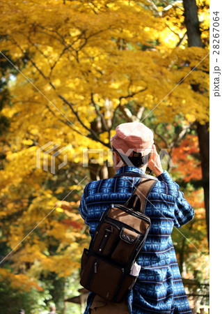 紅葉を写真におさめる人 28267064