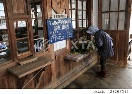 美作滝尾駅(因美線)で花を飾る地元のおばあさん 美作滝尾駅(因美線)で花を飾る地元のおばあさん 28267515
