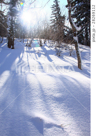 大沼山の冬景色 大沼山の冬景色 28269112