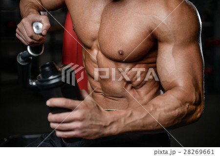 Handsome fitness model train in gym gain muscl Handsome fitness model train in gym gain muscl 28269661