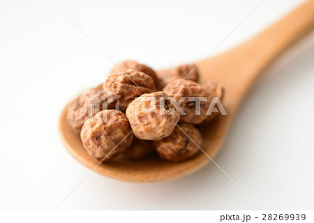 タイガーナッツ 28269939