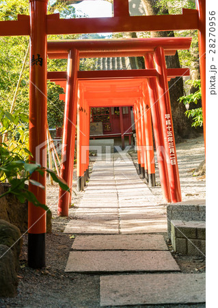 熱海 來宮神社(きのみやじんじゃ) 熱海 來宮神社(きのみやじんじゃ) 28270956