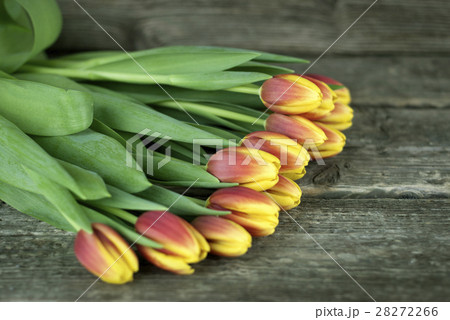 Bouquet of tulips flowers. Selective focus. Bouquet of tulips flowers. Selective focus. 28272266