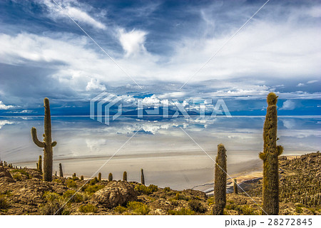Incahuasi island, Salar de Uyuni, Bolivia Incahuasi island, Salar de Uyuni, Bolivia 28272845