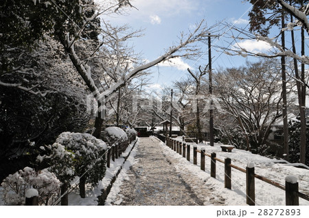 哲学の道 28272893