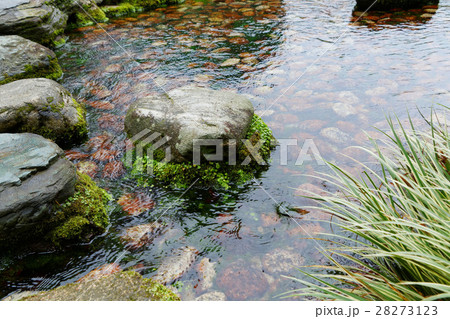 栗林公園の清流の飛び石と川面の景観 28273123