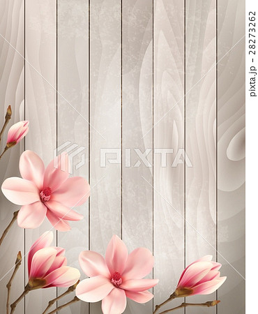 Nature spring background with beautiful magnolia 28273262