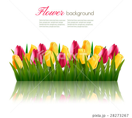 Nature background with green grass and flowers. Nature background with green grass and flowers. 28273267