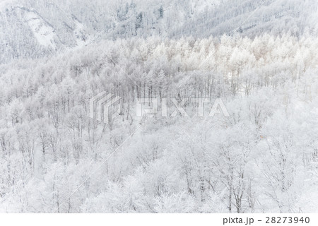 Beautiful Winter landscape Beautiful Winter landscape 28273940